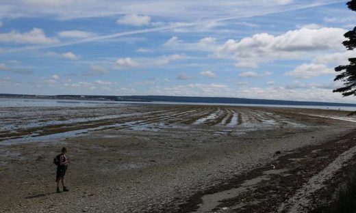 UNM Researcher Maya Elrick gathers samples on Anticosti Island.