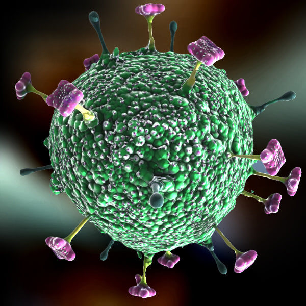 nipah virus
