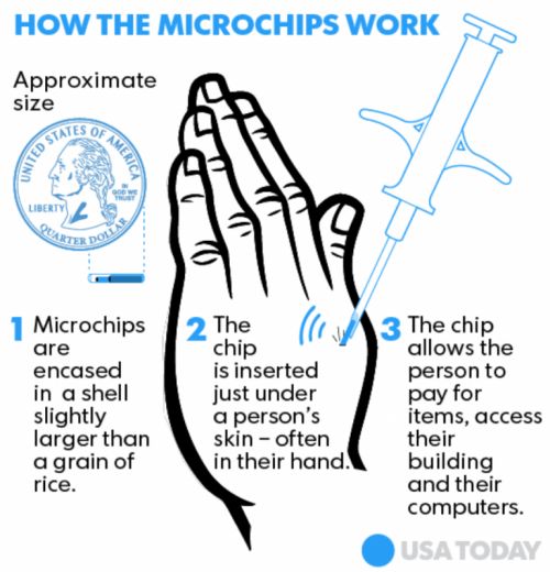 microchip 2