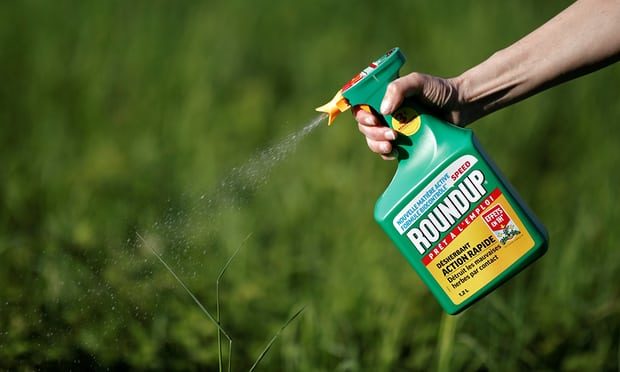 Roundup