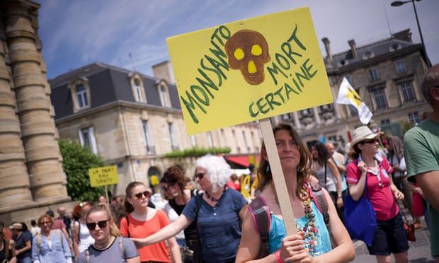 Click to enlarge March Against Monsanto