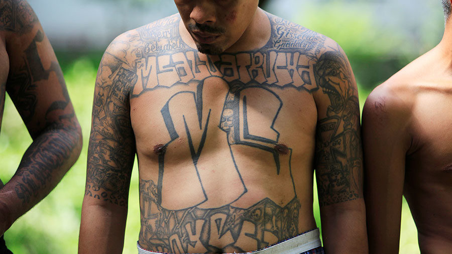 Click to enlarge MS-13 Mara Salvatrucha gang