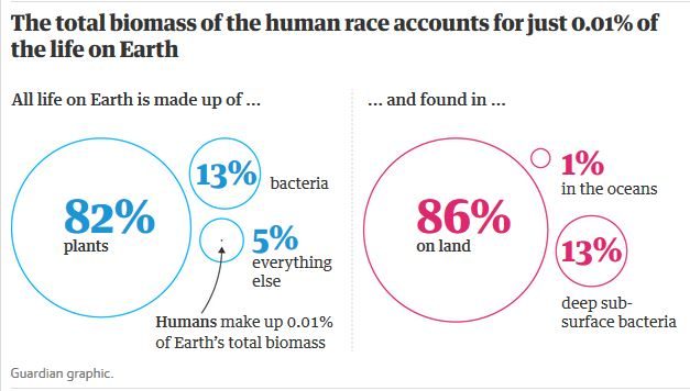 Click to enlarge Biomass