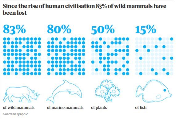 Click to enlarge wild mammals lost