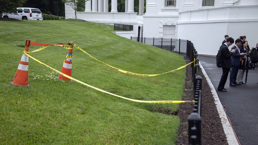 white house sinkhole