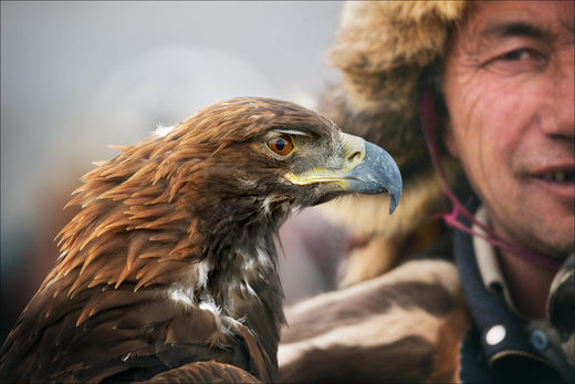 Click to enlarge Eagle Eye