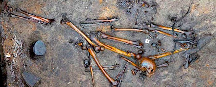 Bog bones Denmark