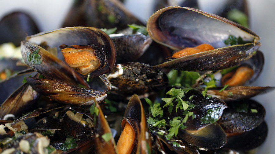 Mussels from Puget Sound