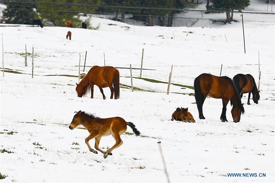 snow