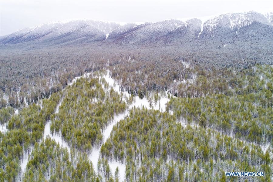 Click to enlarge snow