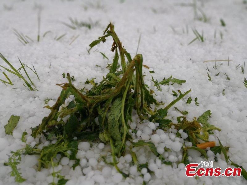 Click to enlarge snow