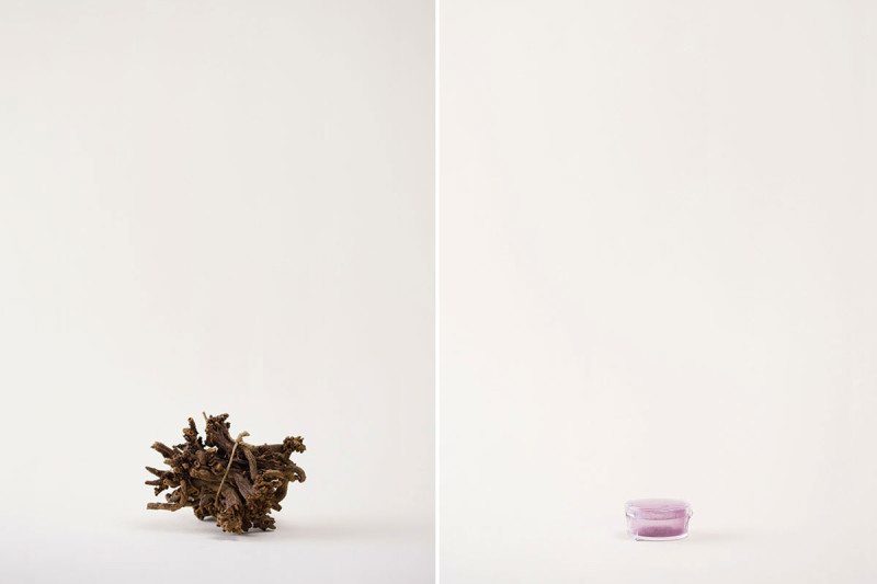 Click to enlarge madder root tyrian purple pigments