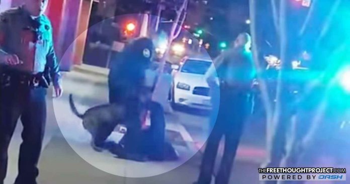 man mauled by dog