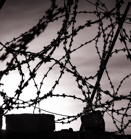 barbed wire fence