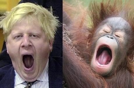 Boris Johnson orangutan