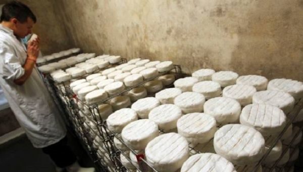 Camembert cheese