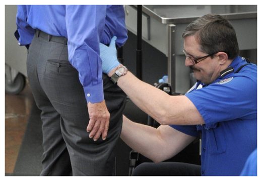 Click to enlarge TSA Goons