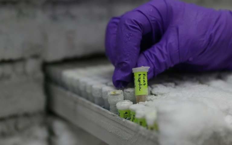 dna analysis