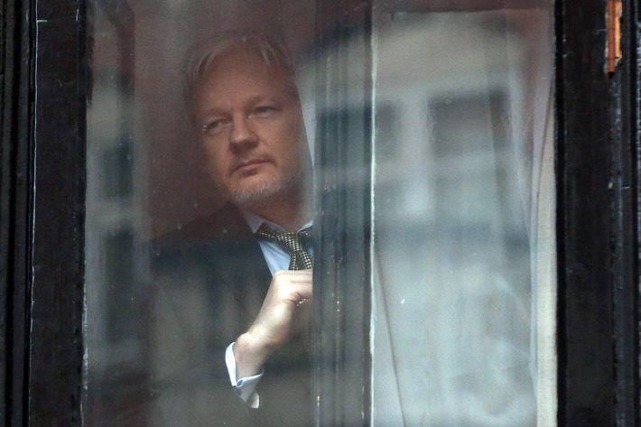 Click to enlarge assange
