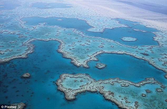 Click to enlarge great barrier reef