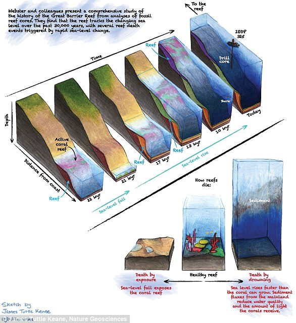 Click to enlarge The study used data from geomorphic, sedimentological, biological and dating information from fossil reef cores at 16 sites at Cairns and Mackay.