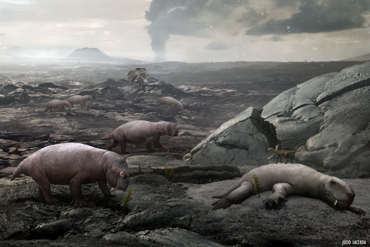 Click to enlarge The Great Permian Extinction