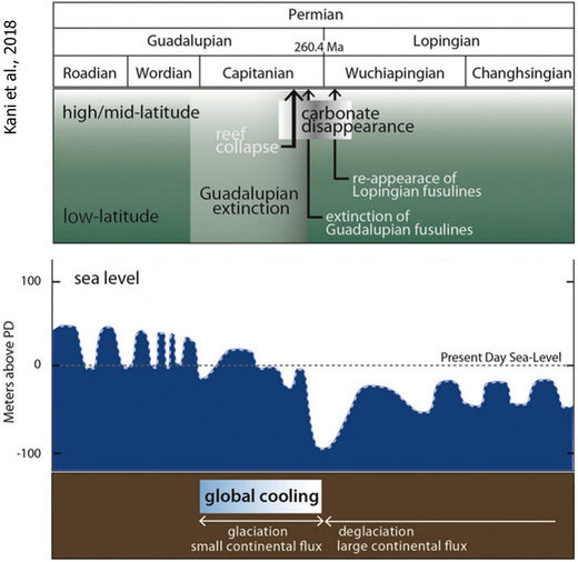 permian temperatures co2