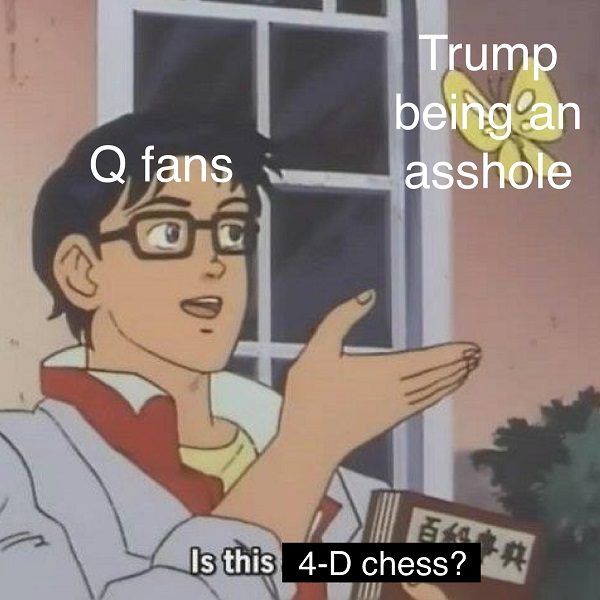 Qanon fans meme