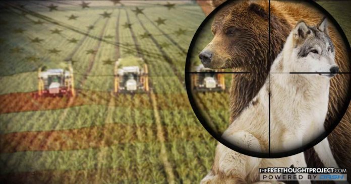 big agriculture