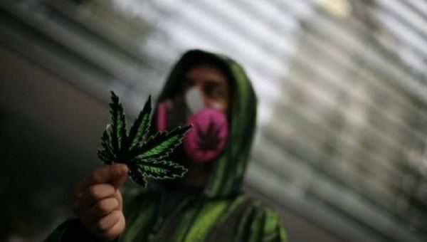 marijuana protestor