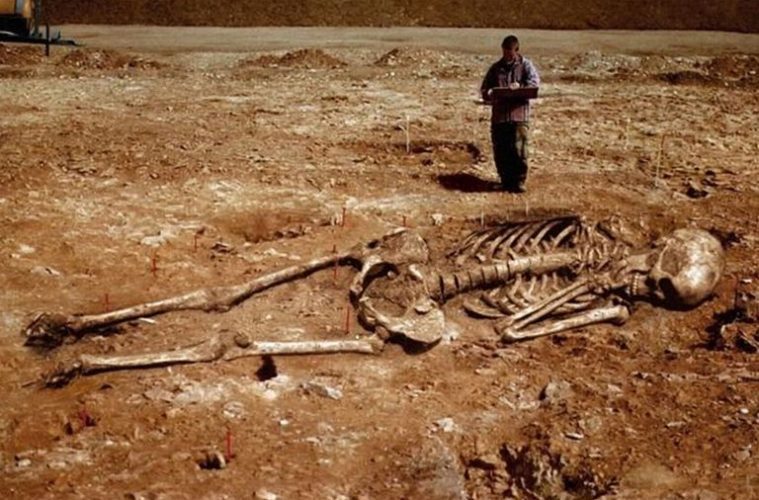 giant skeleton