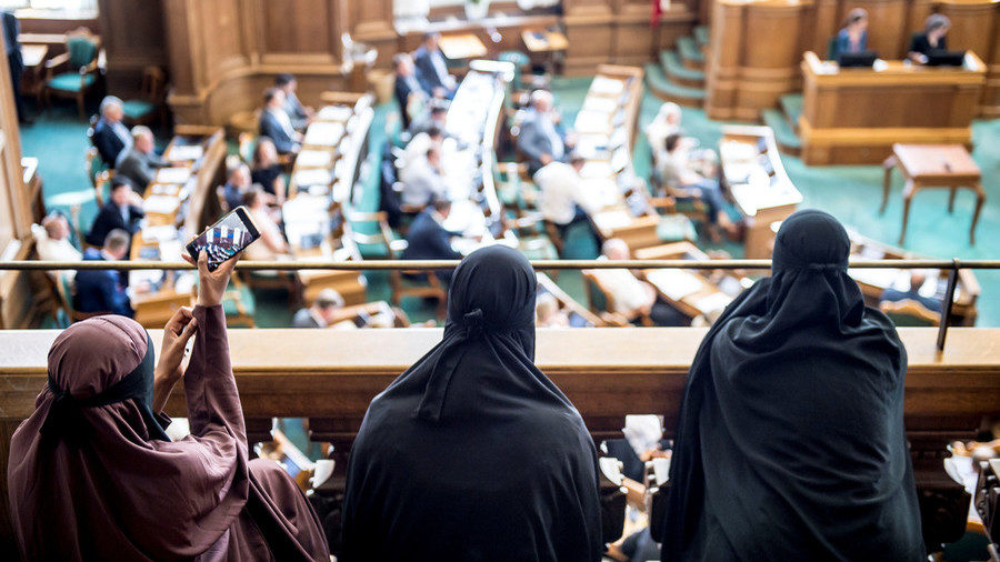 Women in niqab Christiansborg Palace