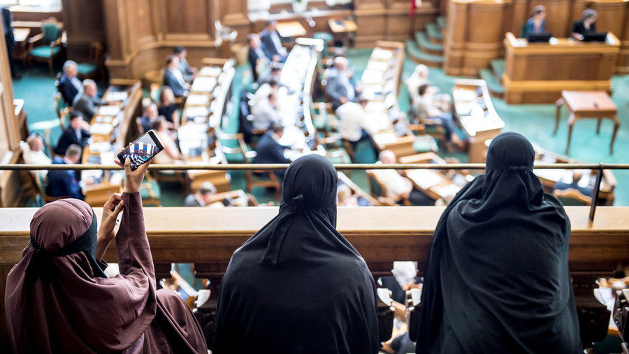 Click to enlarge Women in niqab Christiansborg Palace