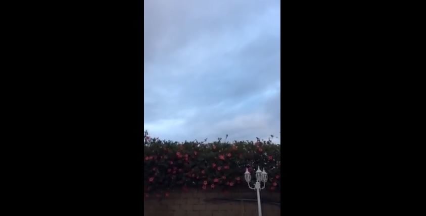 Trumpet sounds in CA