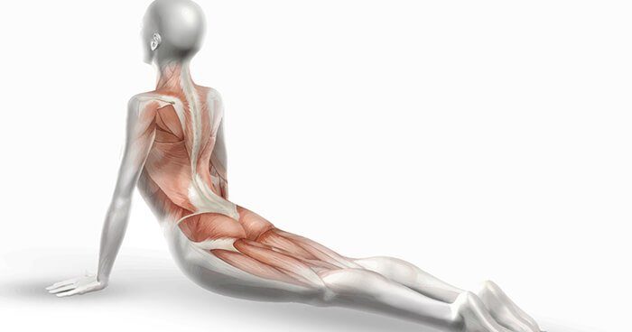 Yoga poses fascia release