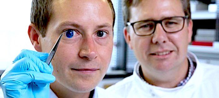 Docs with cornea