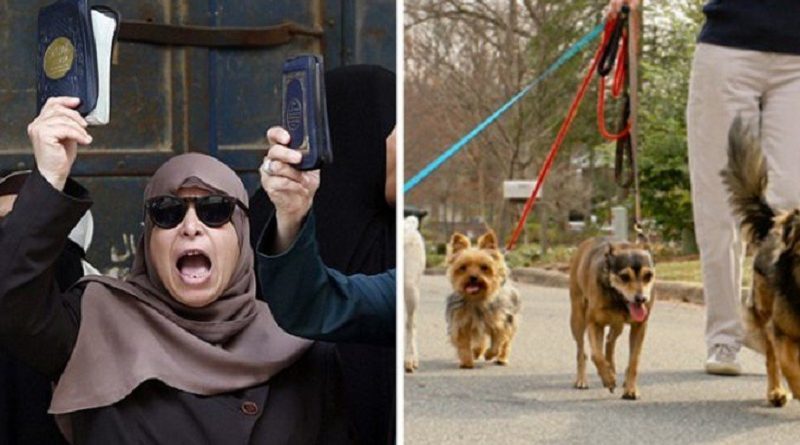 Click to enlarge muslims and dogs