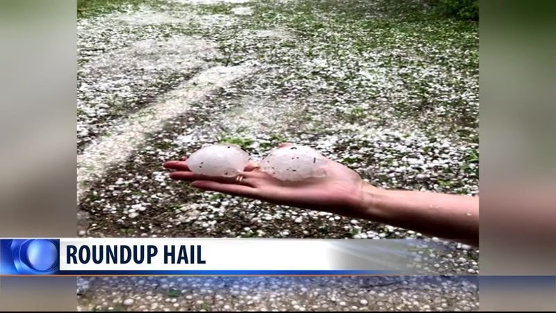 Hail pounds Roundup