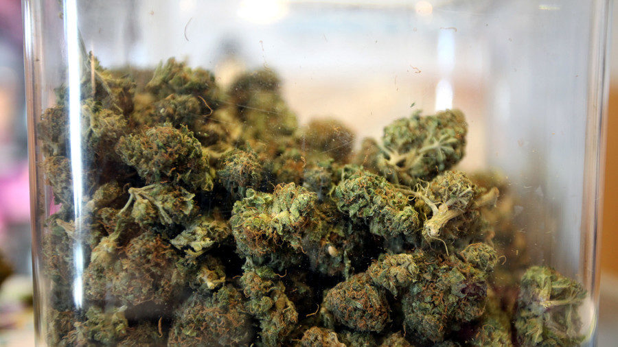 Click to enlarge Cannabis