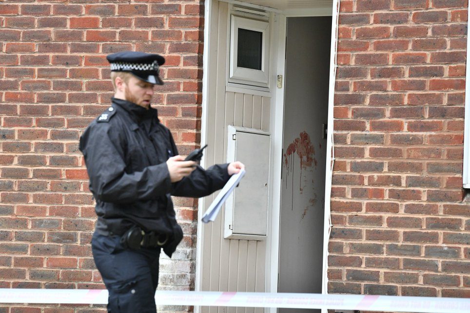woman stabbed london 1