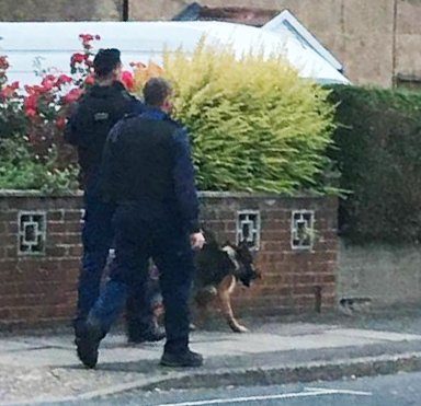 woman stabbed london 4