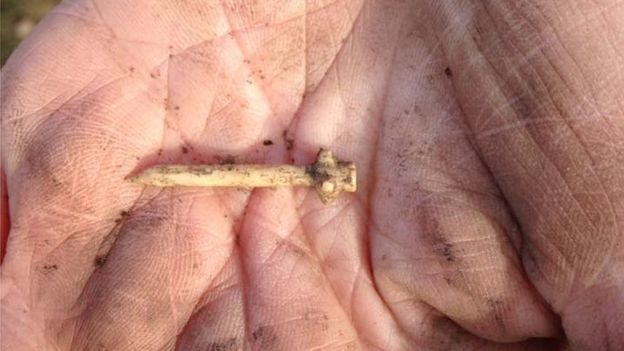 A mace headed pin was found in the Picts' midden