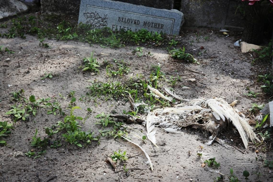 graveyard vandalism