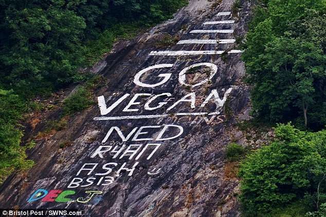 Vegan campaigners have been slammed for painting this message of a rock which has extremely rare plants living in its crevices