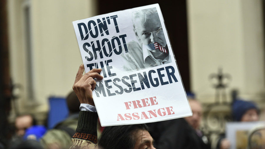 Assange supporter