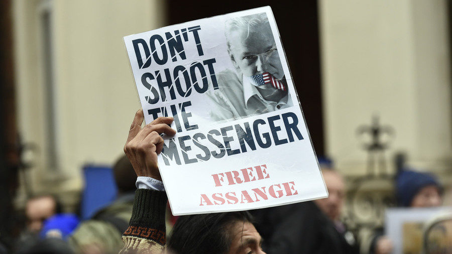 Click to enlarge Assange supporter