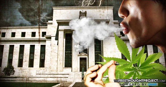 cannabis federal reserve