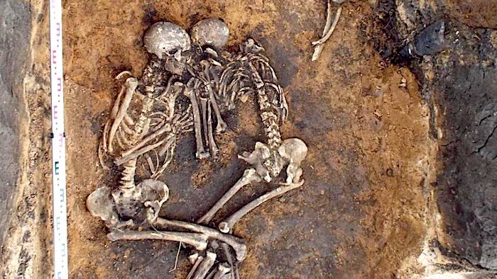 Click to enlarge Skeletons
