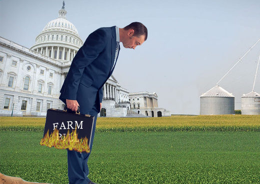 Click to enlarge farm bill