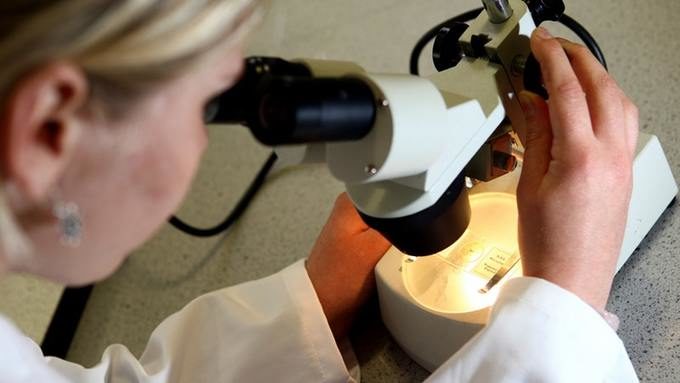 microscope scientist